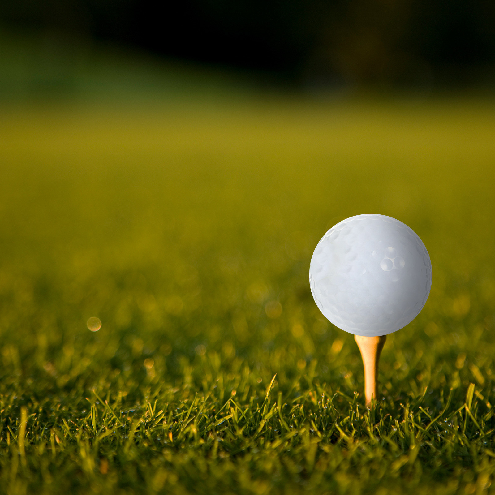 Indoor Practice Golf Balls Equ - Golf Equipment Beginners review and price