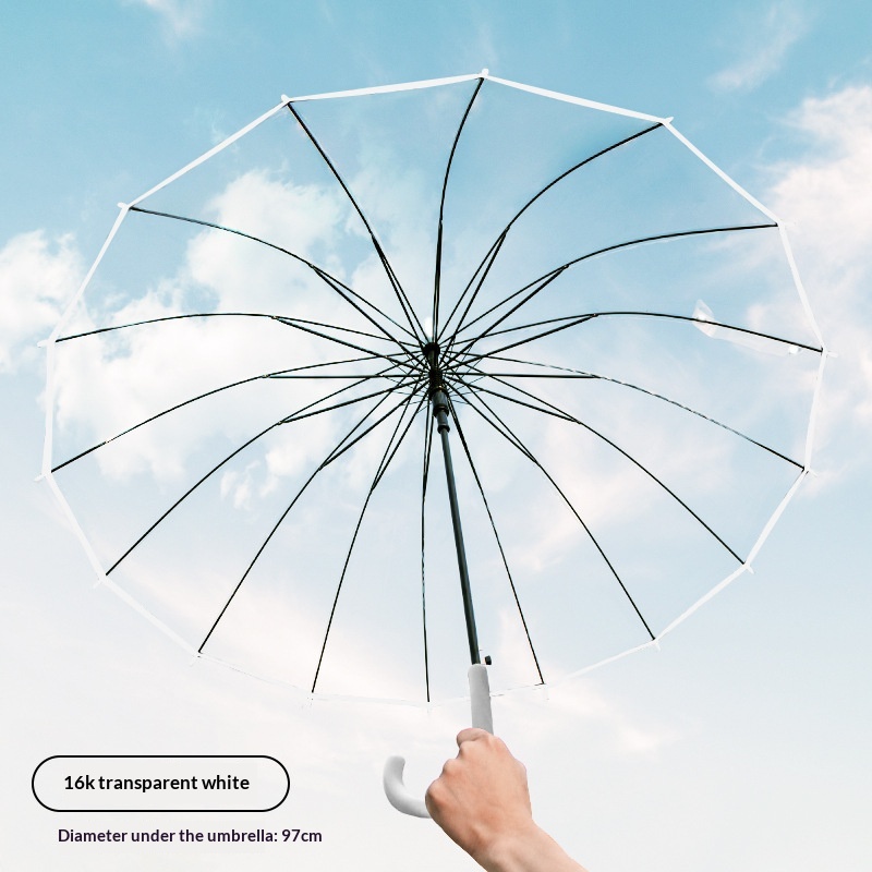 One Pair Transparent Large Win - Golf Umbrella Large review and price